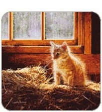 Cork Back Coaster-Cat